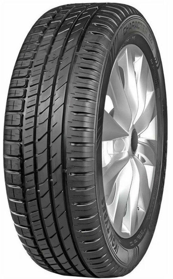 Шины Ikon Character Eco 205/55 R16 91H в интернет-магазине Автоэксперт в Санкт-Петербурге